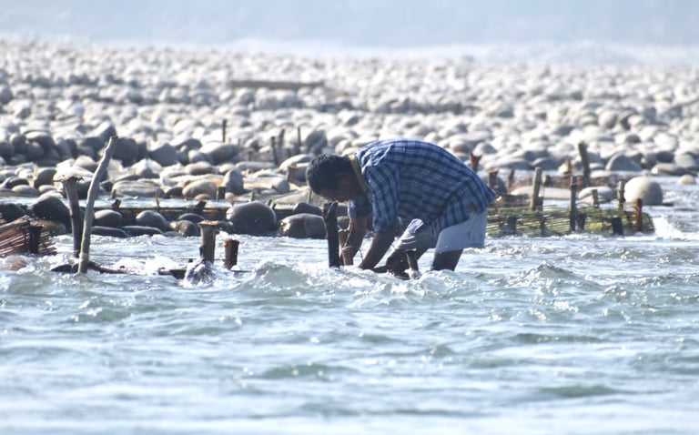 gold prospector near Mohana river