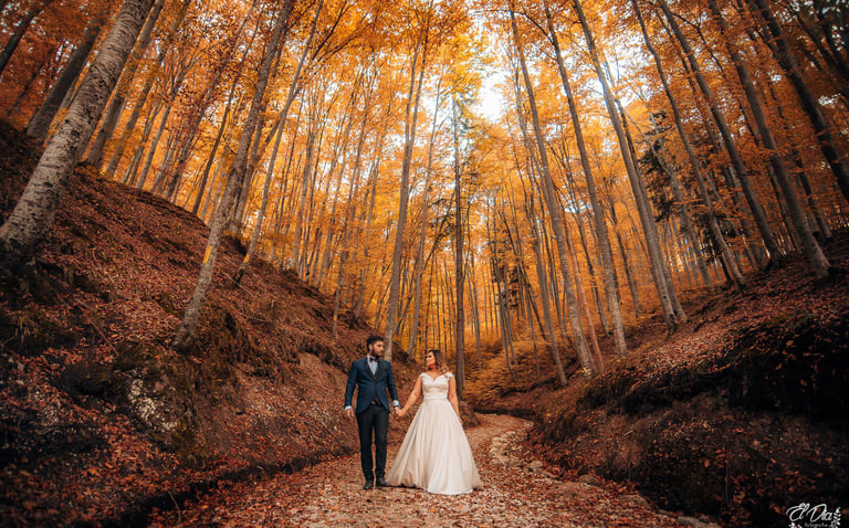 sedinta foto rasnov padure nunta