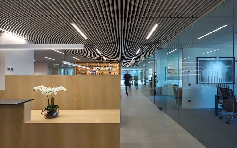 wpc Baffle Ceiling