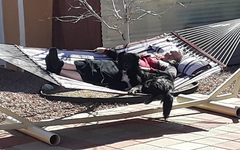 Women and Dog on a hammock supported by a Hammock Stand