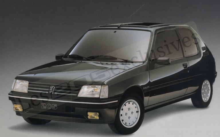 Brochure Peugeot 205 roland Garros Pays-Bas