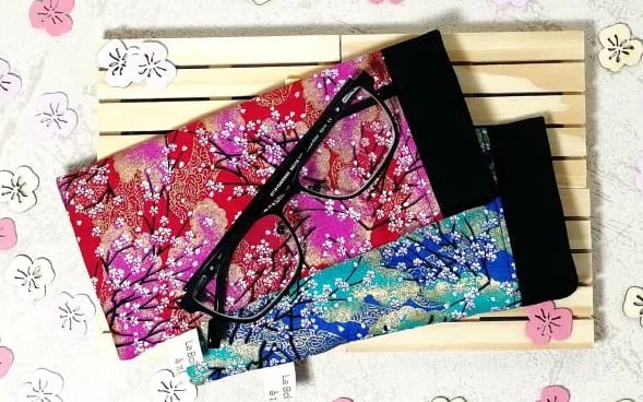 2 étuis à lunettes