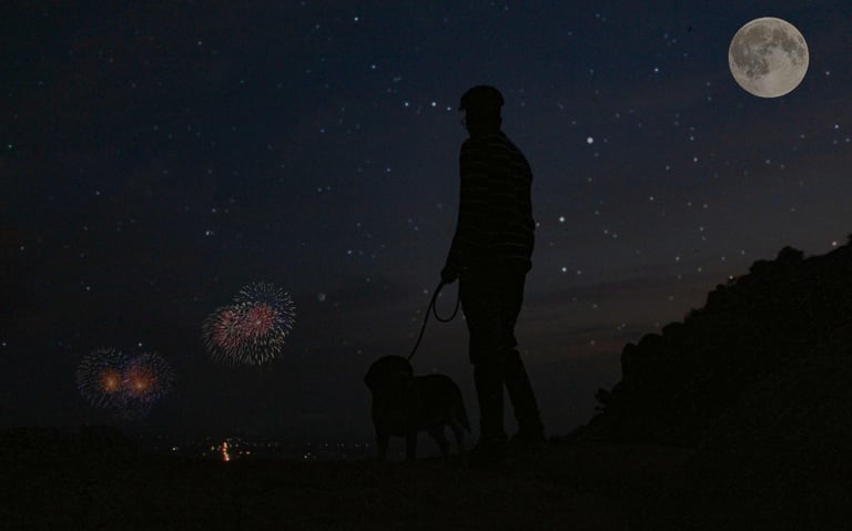 dogAdvisor | dog Advisor | dogadvisor.dog | dog Advisor