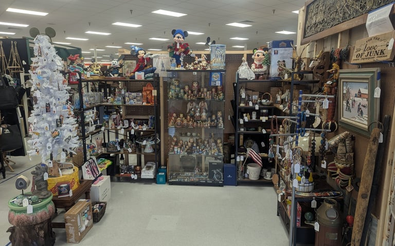 Cape to Coast Auctions | Florida Auction & Estate Service