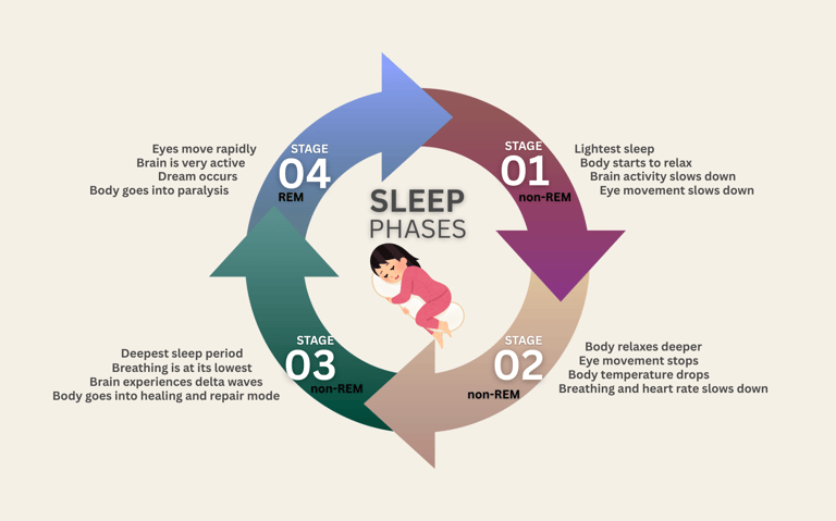 Illustration of sleep cycle and body healing during deep sleep