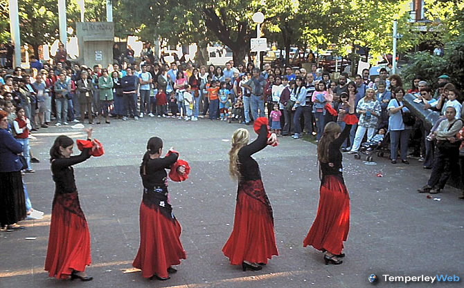 133° Aniversario de Temperley (2003)