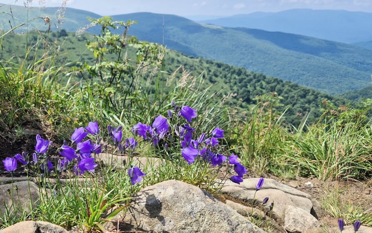 bieszczadzkie krajobrazy