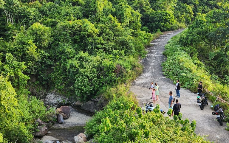 Customers enjoy watching langur with beautiful landscape on Son Tra. Da Nang.