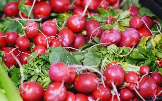 a lot of radishes with green leaves