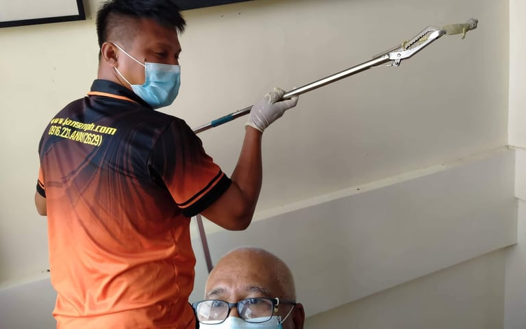 “Dumaguete pest control technician safely catching gecko inside a residence, using professional tool