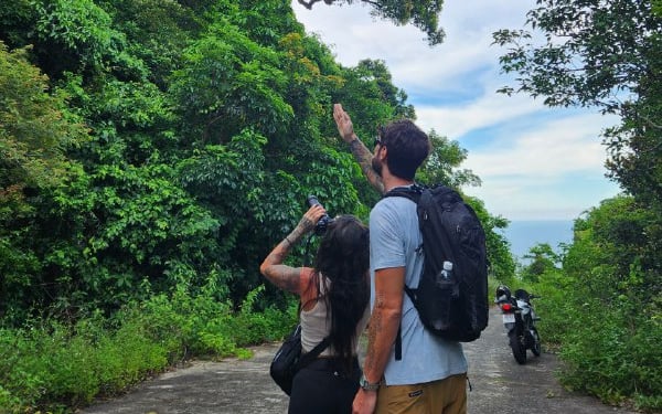 Tourists enjoy watching the langur hiding on the tree in Da Nang.