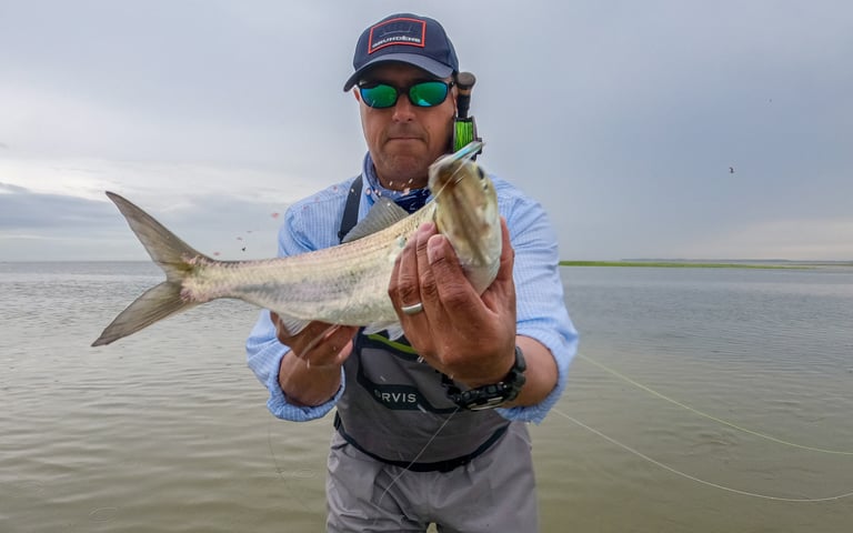 Shad on the fly