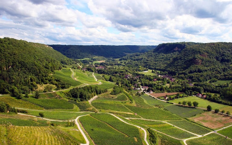 Aerial view of rolling green vineyards in a lush French valley under a cloudy blue sky.