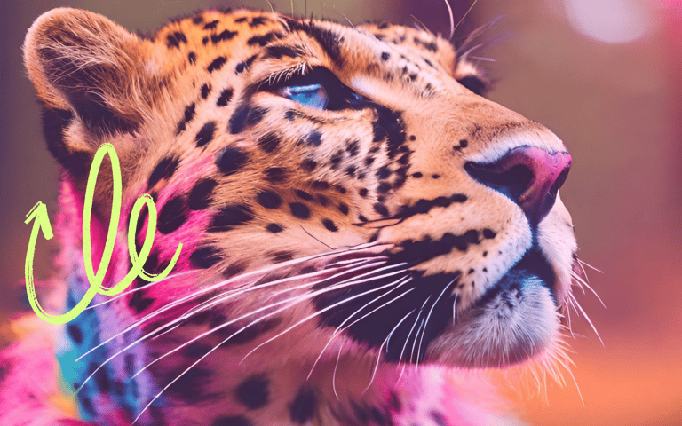 picture of a leopard in a rainbow hue to express the transformation of working with the leopard mind