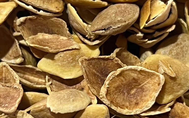 Tisana natural de mezquite