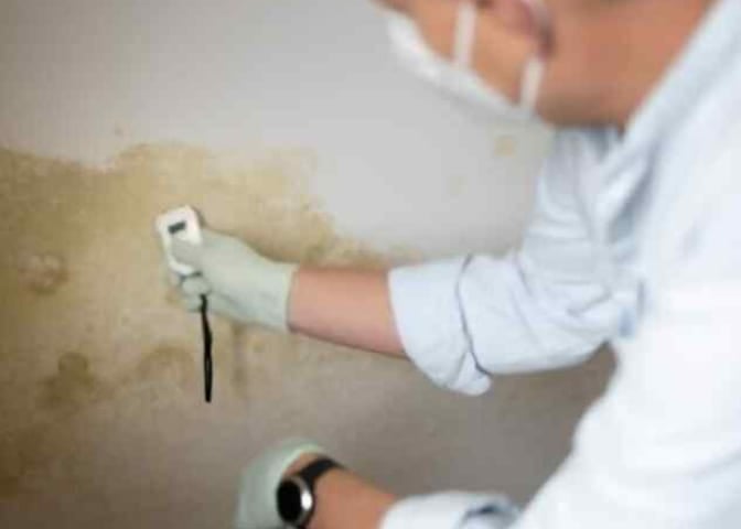 MoldWarden - Complete Mold Inspection