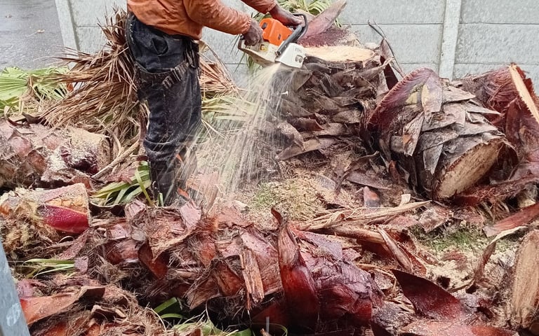 a man is cutting up a pile of wood