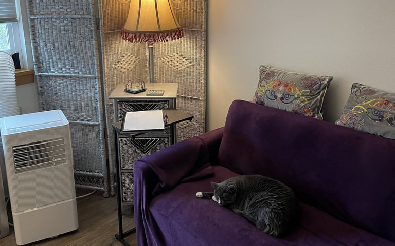 cozy living room set up with a cat curled up sleeping on a purple couch