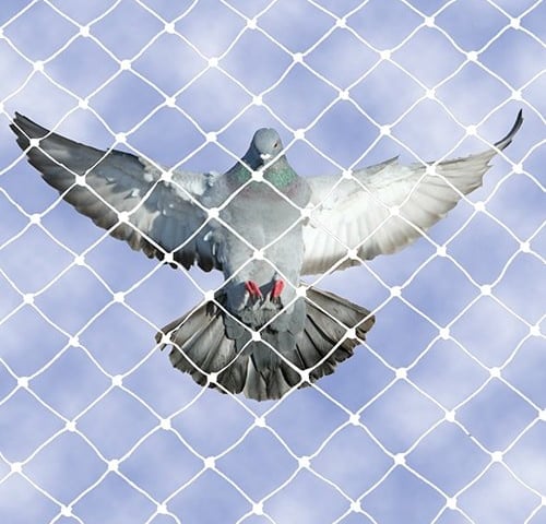Bird Safety Net