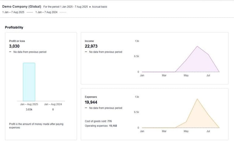 Xero Demo Company - Image Representation