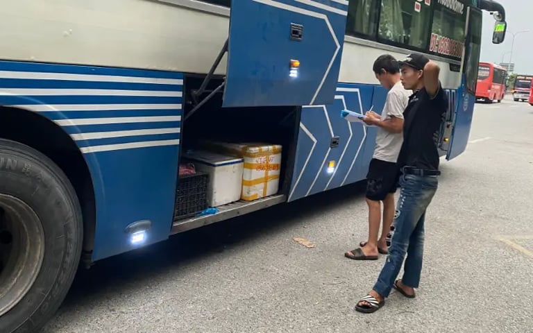 si-trung-chim-cut-boc-san-giao-cac-tinh-mien-bac