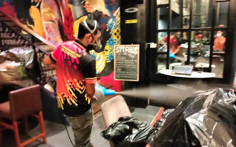 Dumaguete pest control technician performing ULV misting treatment, releasing fine disinfectant mist