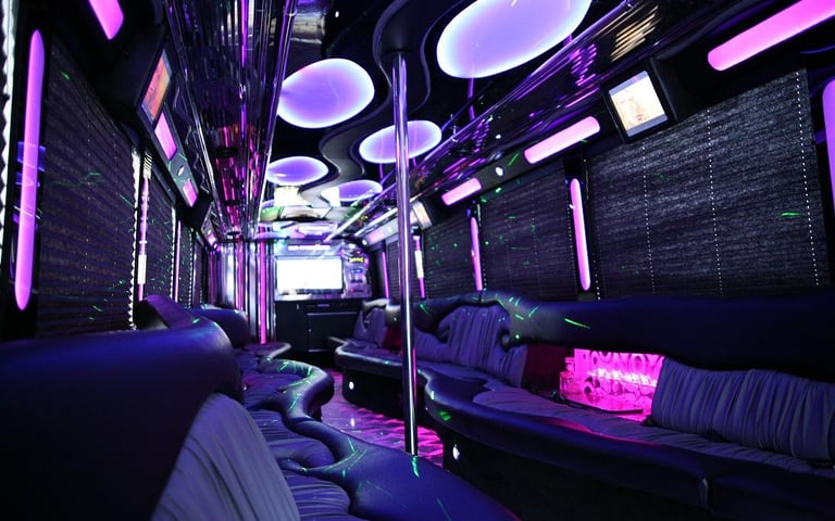luxury interior of 20 passengers party bus with amenities in NJ, MA, NY, CT