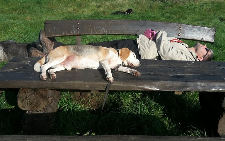 Martin liegt auf einer Bank. Beagle Monti liegt davor auf einem Holztisch. Beide schlafen tief.