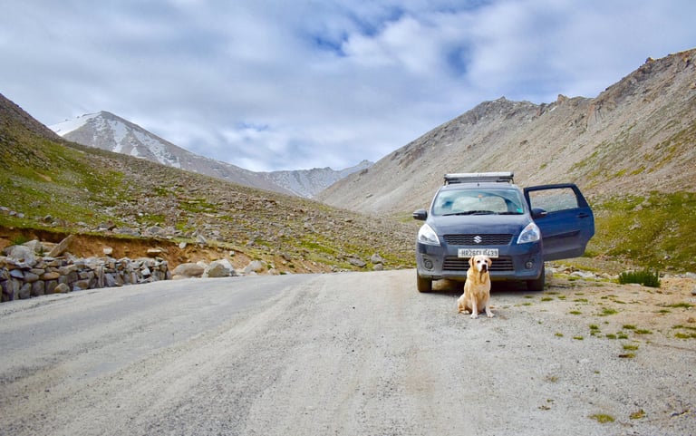 Dog Boarding, Dog Boarding near me, Pet Boarding, Pet Boarding near me, Dog Care, Happy Pettings