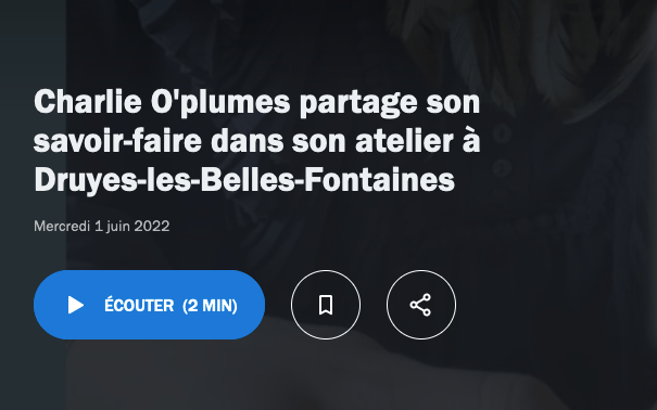capture d'écran du site de Ici Auxerre et lien vers l'interview radio de la créatrice Charlie O'Plum