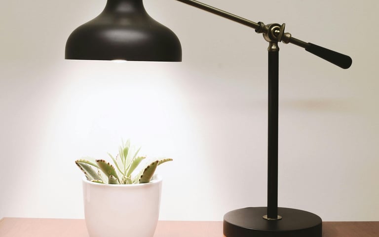 LED grow light on a normal houseplant fixture