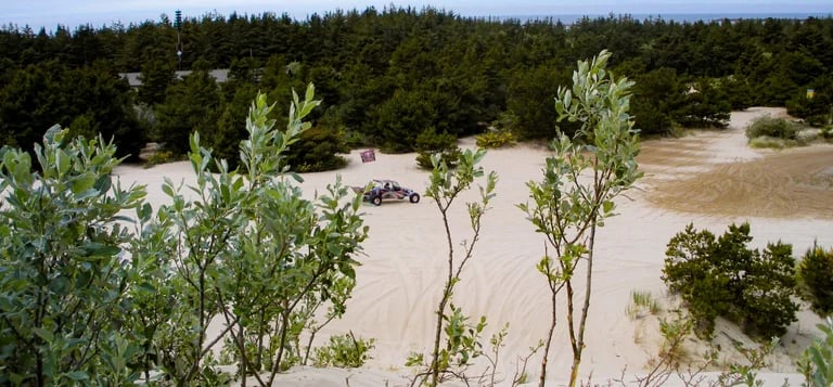 Oregon Coast - Winchester Bay's sand dunes are popular all year
