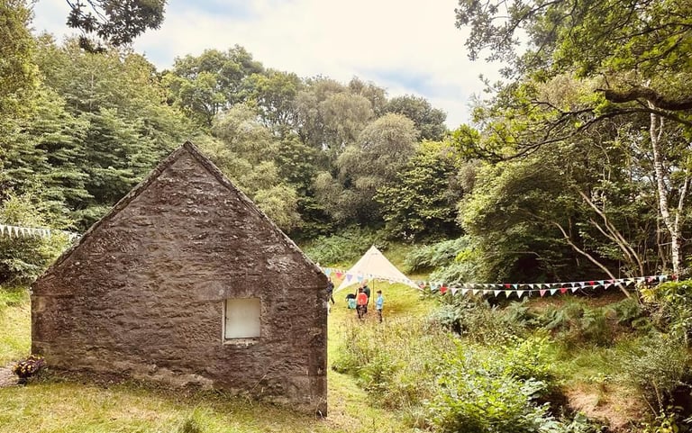 a woodland clearing ready for a wedding