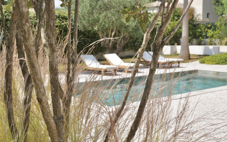 Jardin luxueux, espace piscine avec chaises longues, jardin méditerranéen avec graminées et olivier