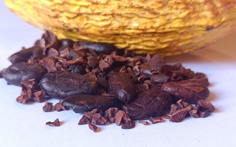 a cacao on top of a pile of chocolate chips