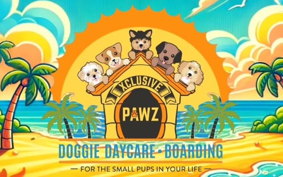 a bunch of dogs at dog daycare on the beach