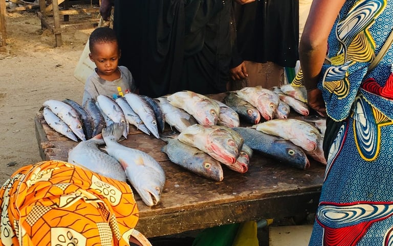 a child stands in front of a table full of fish