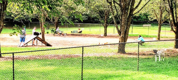 Hixson/Chattanooga - The dog park has an agility course at Greenway Park