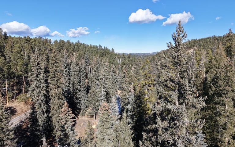 Touching tree crowns and uphill slope towards the home contribute to a high fire intensity rating.