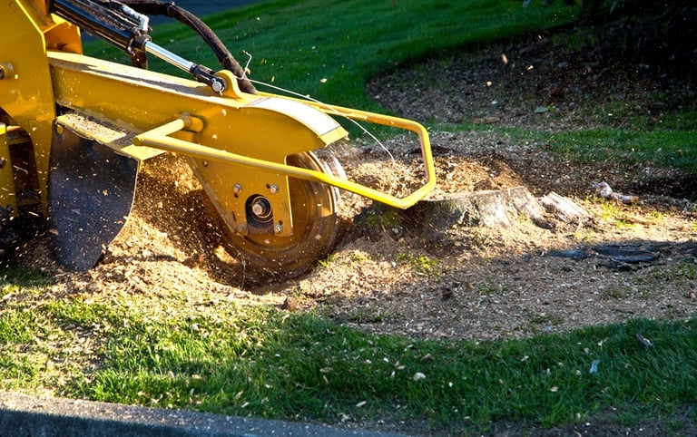 stump grinding