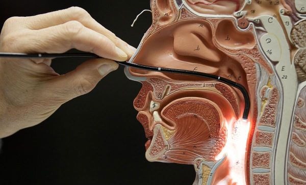 fibroscopia a fibre ottiche utilizzato da otorinolaringoiatra