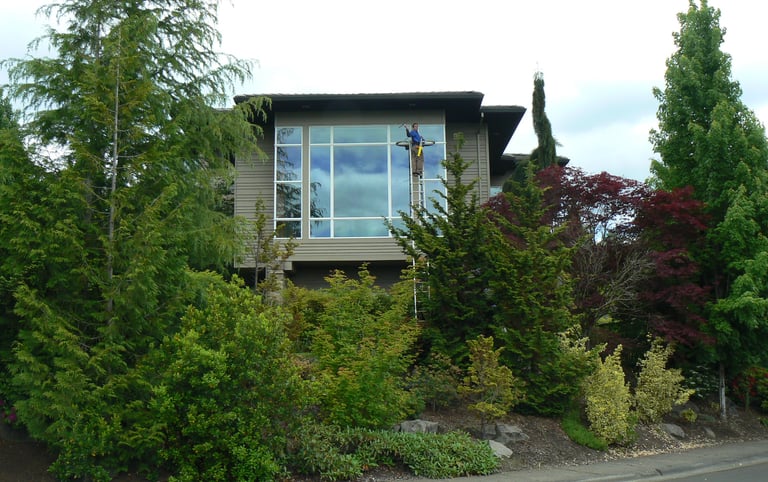 Window and gutter cleaning in Columbia SC