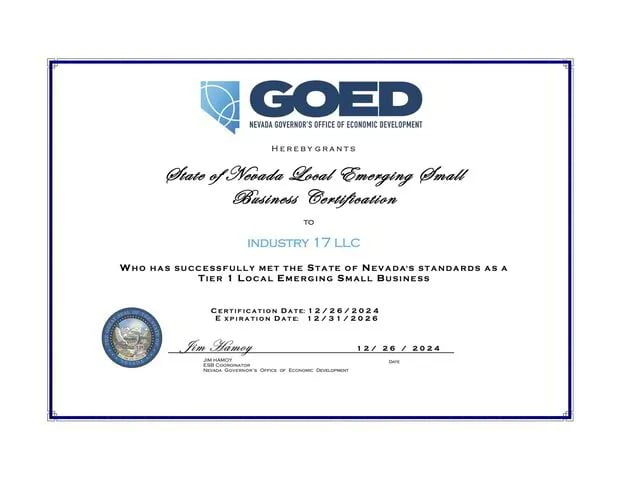 Emerging Small Business in the state of Nevada for MightyStitch.com