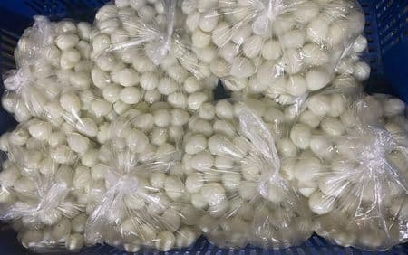 trứng chim cút bóc sẵn, chim cút thịt, chim bồ câu thịt giá sỉ 1 kg trứng chim cút bóc sẵn có bao nhiêu quả 