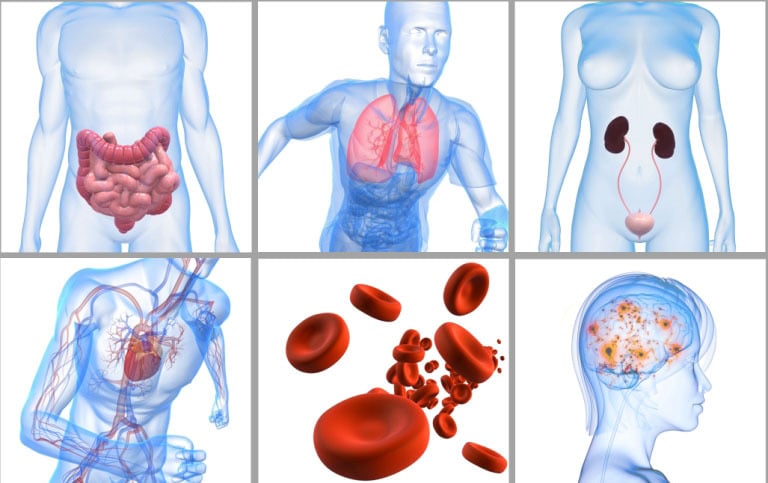 énergéticienne quantique