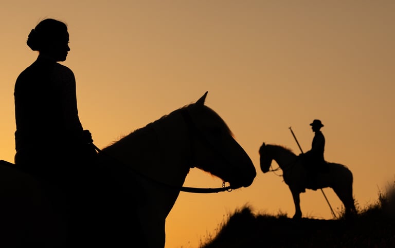 Silhouette of riders on white horses against an orange sunset sky during a traditional parade.
