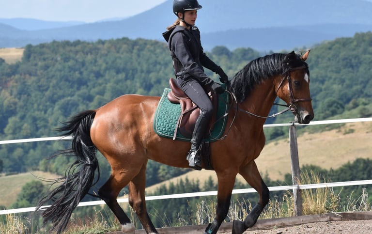 Jeune cavalière en stage équestre en Ardèche
