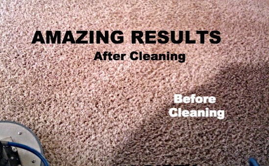 Before & After Results Photo with King Organic Clean 