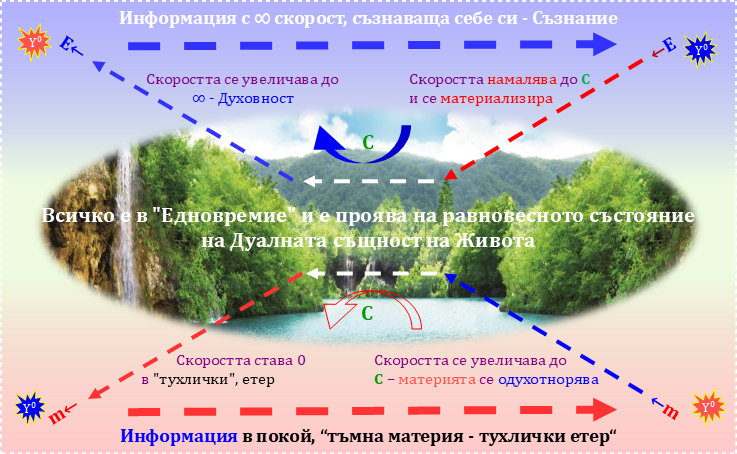 Едновремие на движение-покой, проява на равновесни сили в Живота