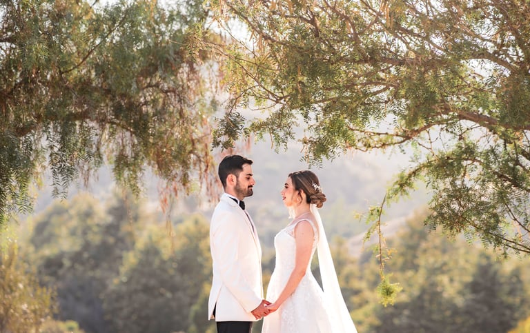 a bride and groom standing in front of a tree
